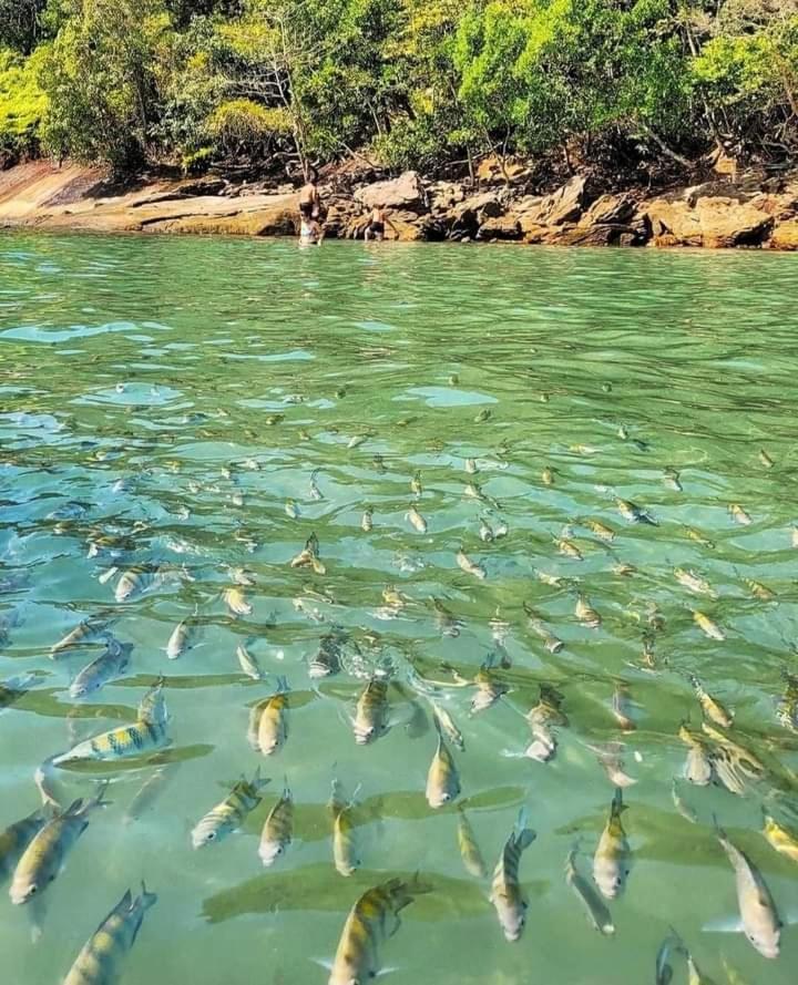 Praia Grande Ubatuba Casa Nova 5D 外观 照片